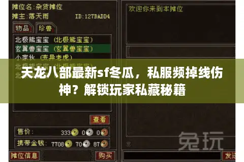 天龙八部最新sf冬瓜，私服频掉线伤神？解锁玩家私藏秘籍