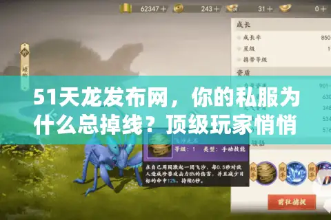 51天龙发布网，你的私服为什么总掉线？顶级玩家悄悄分享秘方