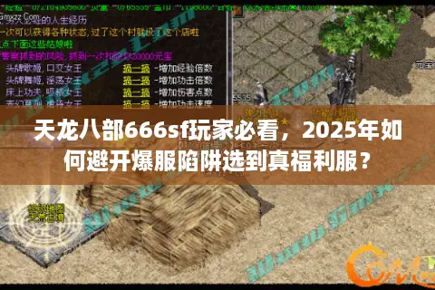 天龙八部666sf玩家必看,2025年如何避开爆服陷阱选到真福利服? 天龙八部666sf玩家必看,2025年如何避开爆服陷阱选到真福利服?