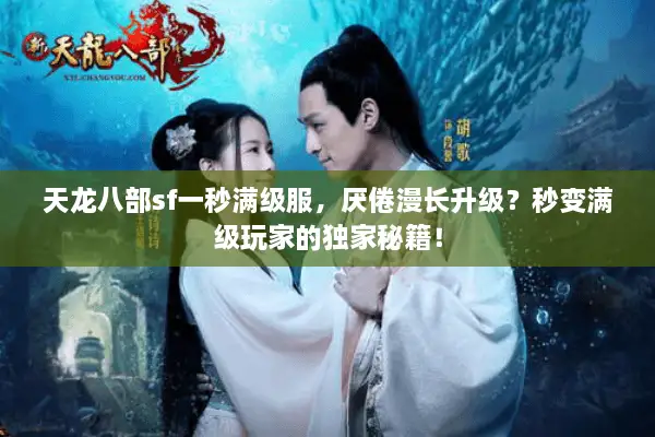 天龙八部sf一秒满级服，厌倦漫长升级？秒变满级玩家的独家秘籍！