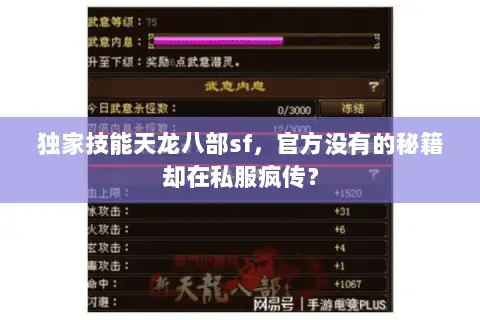 独家技能天龙八部sf，官方没有的秘籍却在私服疯传？