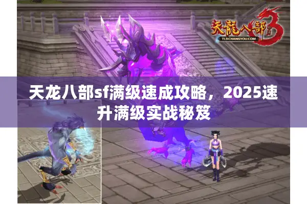 天龙八部sf满级速成攻略，2025速升满级实战秘笈