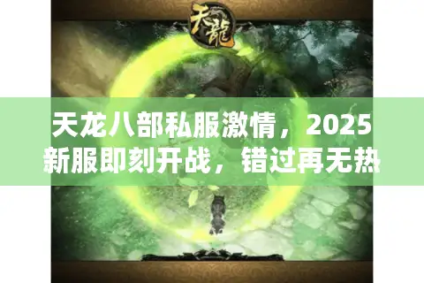 天龙八部私服激情，2025新服即刻开战，错过再无热血江湖！