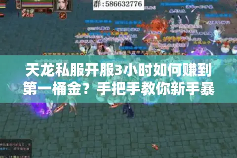 天龙私服开服3小时如何赚到第一桶金？手把手教你新手暴富秘籍