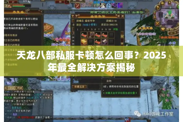 天龙八部私服卡顿怎么回事？2025年最全解决方案揭秘