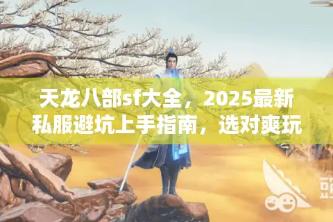 天龙八部sf大全,2025最新私服避坑上手指南,选对爽玩一整年! 天龙八部sf大全,2025最新私服避坑上手指南,选对爽玩一整年!