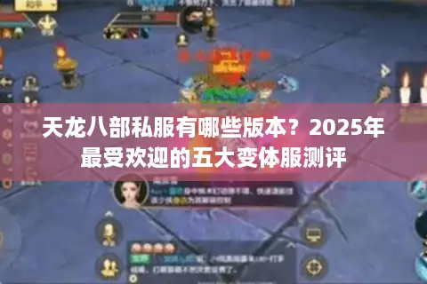 天龙八部私服有哪些版本?2025年最受欢迎的五大变体服测评 天龙八部私服有哪些版本?2025年最受欢迎的五大变体服测评