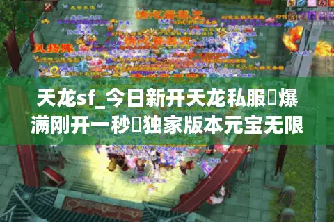 天龙sf_今日新开天龙私服▷爆满刚开一秒◁独家版本元宝无限刷