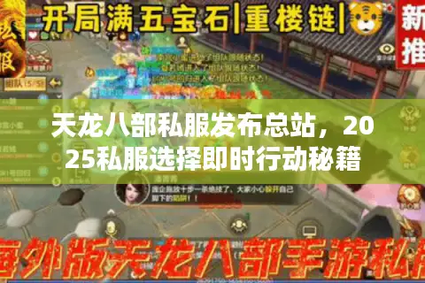 天龙八部私服发布总站,2025私服选择即时行动秘籍 天龙八部私服发布总站,2025私服选择即时行动秘籍