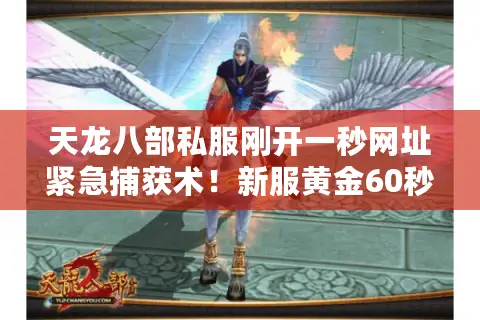天龙八部私服刚开一秒网址紧急捕获术！新服黄金60秒必进攻略