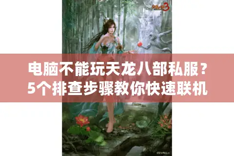 电脑不能玩天龙八部私服？5个排查步骤教你快速联机