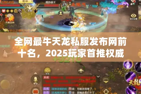 全网最牛天龙私服发布网前十名，2025玩家首推权威榜单