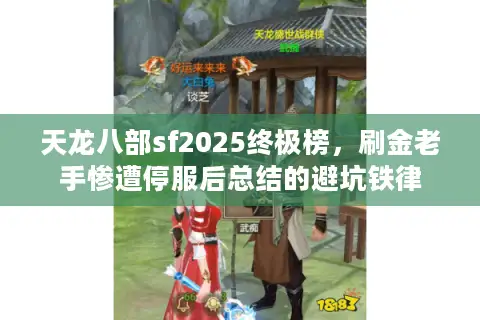 天龙八部sf2025终极榜，刷金老手惨遭停服后总结的避坑铁律