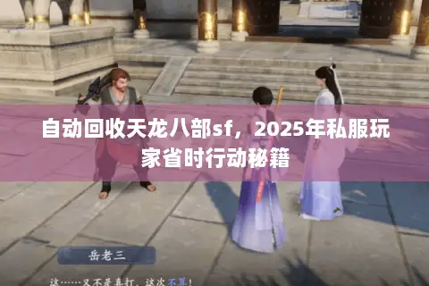 自动回收天龙八部sf，2025年私服玩家省时行动秘籍