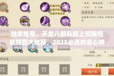 独家推荐,天龙八部私服上班族挂机服四大推荐,2025必选的省心神服 独家推荐,天龙八部私服上班族挂机服四大推荐,2025必选的省心神服