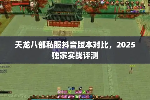 天龙八部私服抖音版本对比,2025独家实战评测 天龙八部私服抖音版本对比,2025独家实战评测