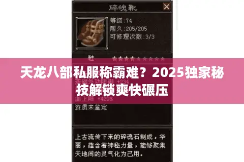 天龙八部私服称霸难？2025独家秘技解锁爽快碾压