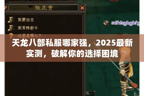 天龙八部私服哪家强，2025最新实测，破解你的选择困境