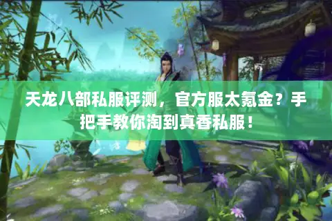 天龙八部私服评测，官方服太氪金？手把手教你淘到真香私服！