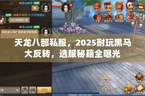 天龙八部私服，2025耐玩黑马大反转，选服秘籍全曝光