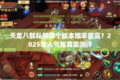 天龙八部私服哪个版本爆率最高?2025年人气服真实测评 天龙八部私服哪个版本爆率最高?2025年人气服真实测评
