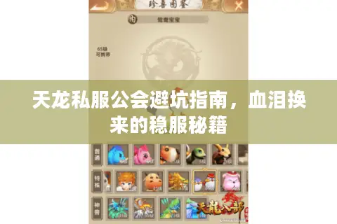 天龙私服公会避坑指南,血泪换来的稳服秘籍 天龙私服公会避坑指南,血泪换来的稳服秘籍