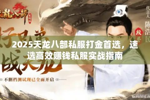 2025天龙八部私服打金首选,速选高效赚钱私服实战指南 2025天龙八部私服打金首选,速选高效赚钱私服实战指南