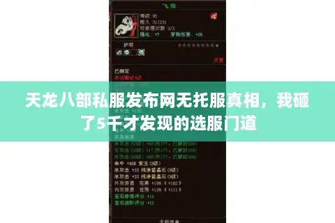 天龙八部私服发布网无托服真相，我砸了5千才发现的选服门道