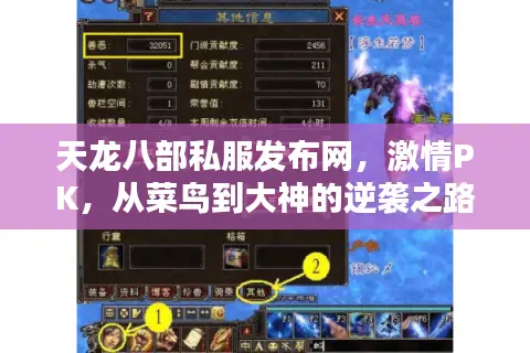 天龙八部私服发布网，激情PK，从菜鸟到大神的逆袭之路