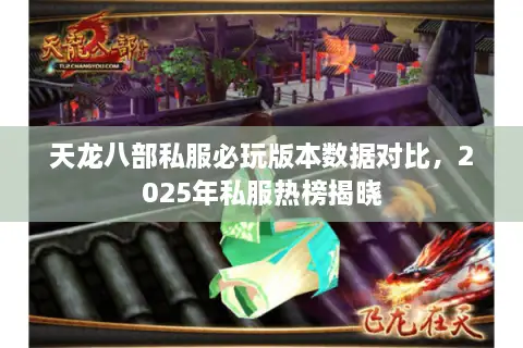 天龙八部私服必玩版本数据对比，2025年私服热榜揭晓