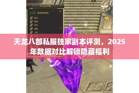天龙八部私服独家副本评测，2025年数据对比解锁隐藏福利