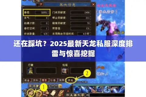 还在踩坑？2025最新天龙私服深度排雷与惊喜挖掘