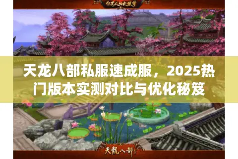 天龙八部私服速成服，2025热门版本实测对比与优化秘笈