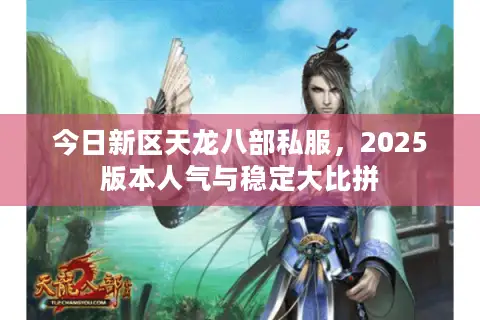 今日新区天龙八部私服，2025版本人气与稳定大比拼