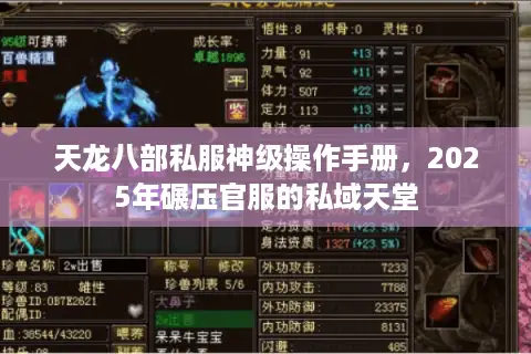 天龙八部私服神级操作手册,2025年碾压官服的私域天堂 天龙八部私服神级操作手册,2025年碾压官服的私域天堂