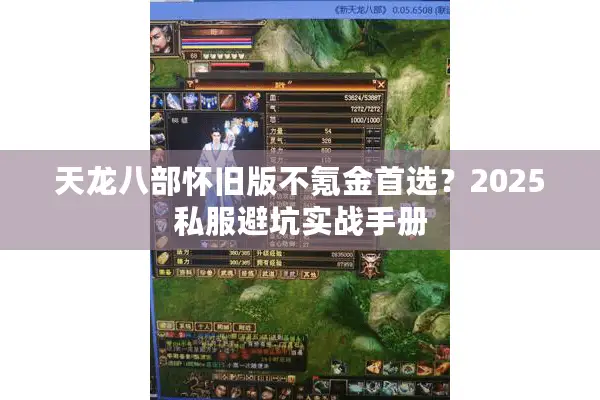 天龙八部怀旧版不氪金首选？2025私服避坑实战手册