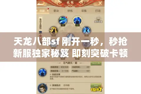 天龙八部sf 刚开一秒,秒抢新服独家秘笈 即刻突破卡顿陷阱! 天龙八部sf 刚开一秒,秒抢新服独家秘笈 即刻突破卡顿陷阱!