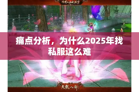 痛点分析,为什么2025年找私服这么难 痛点分析,为什么2025年找私服这么难