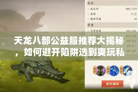 天龙八部公益服推荐大揭秘，如何避开陷阱选到爽玩私服？