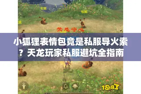 小狐狸表情包竟是私服导火索？天龙玩家私服避坑全指南
