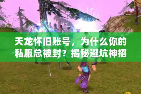天龙怀旧账号，为什么你的私服总被封？揭秘避坑神招！