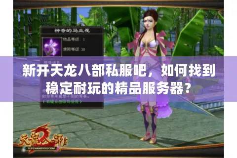 新开天龙八部私服吧，如何找到稳定耐玩的精品服务器？