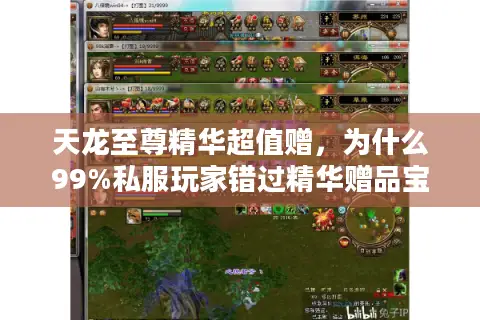 天龙至尊精华超值赠，为什么99%私服玩家错过精华赠品宝藏？