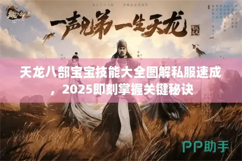 天龙八部宝宝技能大全图解私服速成,2025即刻掌握关键秘诀 天龙八部宝宝技能大全图解私服速成,2025即刻掌握关键秘诀