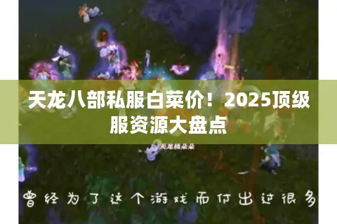 天龙八部私服白菜价！2025顶级服资源大盘点