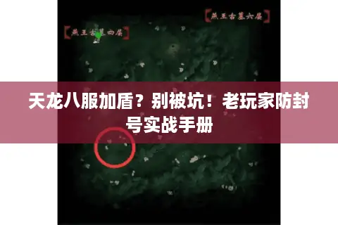 天龙八服加盾？别被坑！老玩家防封号实战手册