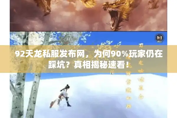 92天龙私服发布网，为何90%玩家仍在踩坑？真相揭秘速看！