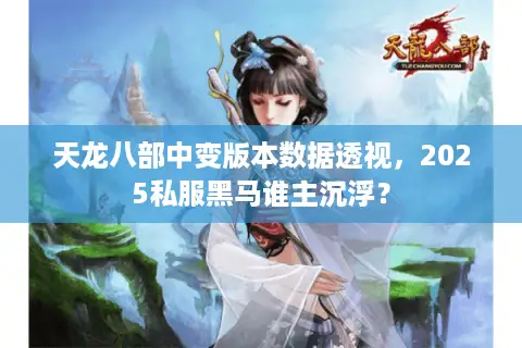 天龙八部中变版本数据透视,2025私服黑马谁主沉浮? 天龙八部中变版本数据透视,2025私服黑马谁主沉浮?