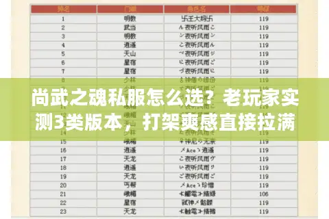 尚武之魂私服怎么选？老玩家实测3类版本，打架爽感直接拉满