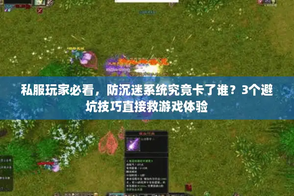 私服玩家必看,防沉迷系统究竟卡了谁?3个避坑技巧直接救游戏体验 私服玩家必看,防沉迷系统究竟卡了谁?3个避坑技巧直接救游戏体验